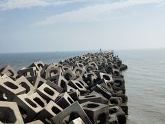 -东疆建设开发纪念公园