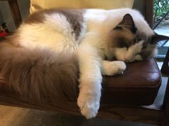 -咖法森林·咖啡  酒吧(天河店)