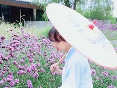 -桤木河湿地公园