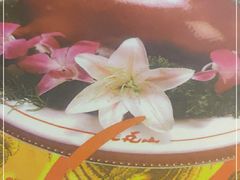 -九花山烤鸭店