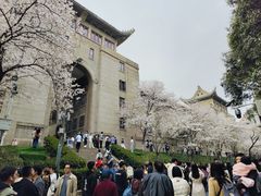 -武汉大学-樱园