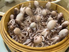-良友·海鲜青岛菜·海肠捞饭(五四广场店)