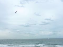 -日照世帆赛基地