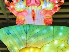 -武汉园博园(武汉自然博物馆)