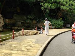 -广州市帽峰山景区