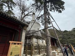 -潭柘寺景区