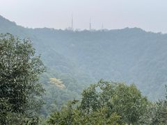 -杭州植物园