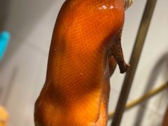 一口酥（点卯精品烤鸭）-顺承小院儿