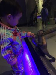 -未来动物城动物主题公园(大悦城店)