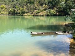 -广州白江湖森林公园