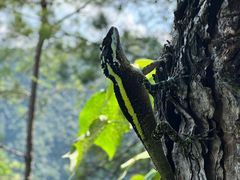 -重庆云阳龙缸景区