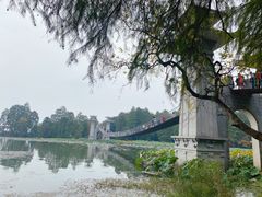 -东湖落雁景区