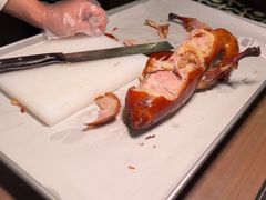 -秀儿四九城·新京菜(亚运村鸟巢店)