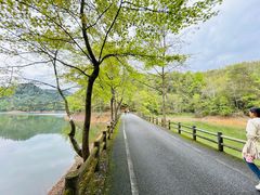 -千岛湖龙川湾