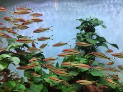 -青石桥市场北1-27号