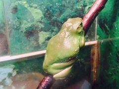 iphone_upload_pic-上海大自然野生昆虫馆