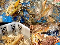 -亚马逊蒸汽活海鲜自助(LCM置汇旭辉广场店)