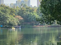 -晓港公园