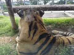 -西霞口神雕山野生动物世界