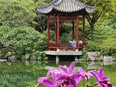 -云溪植物园