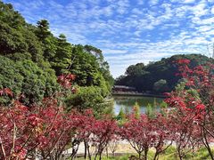 -广州市帽峰山景区
