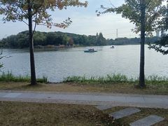 -昆山城市生态森林公园