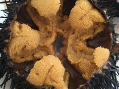 -海胆小馆(东北水饺·春柳店)