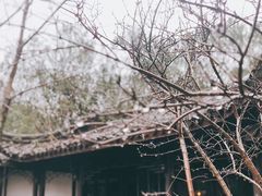 -日出青木·杭帮菜名店