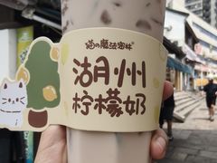 -猫的魔法密林(衣裳街店)