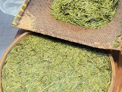 -阿巧茶庄