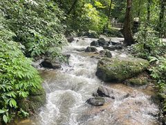 -莫里热带雨林景区