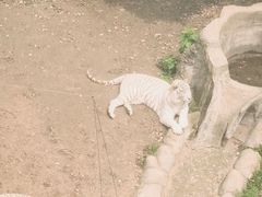 -常州淹城野生动物世界