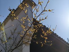 -白鹿洞书院