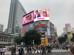 -涩谷全向十字路口