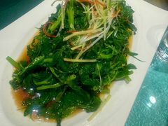 -巴蜀人家(东关街店)