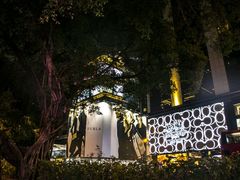 -九龙公园