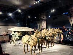 -秦始皇帝陵博物院-丽山园