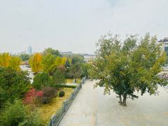 -北京云瑧金陵莲花酒店·莲·川小馆