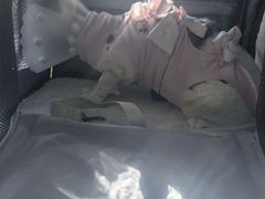 -美联众合动物医院·24h京西诊疗中心