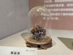 -湖南省地质博物馆