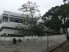 -大埔公路-马料水段香港中文大学(公交站)