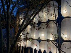 -三圣花乡旅游区