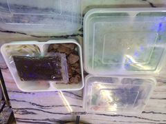 金百万烤鸭店(马甸店)-金百万烤鸭店(马甸店)