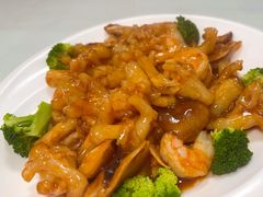 蹄筋虾仁-黑石礁酒楼·海鲜(黑石礁店)