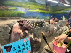 -正佳雨林生态植物园