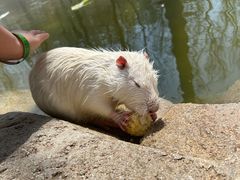 -北京野生动物园