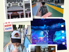 -沈阳方特欢乐世界