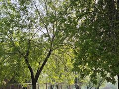 -太阳宫公园