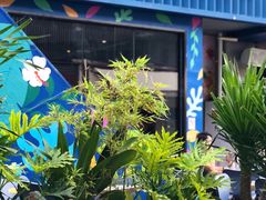 -野萃山·潮汕厚果汁(十亩地店)