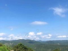 -大姆山草场